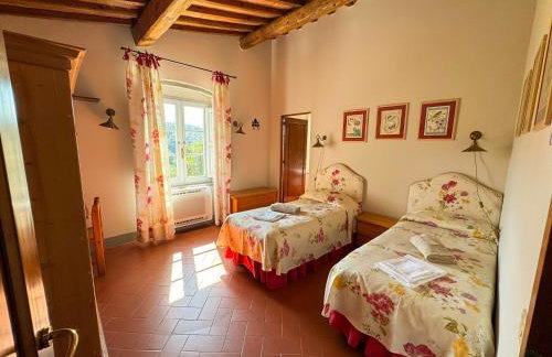 Fattoria di Maiano - Photo 126