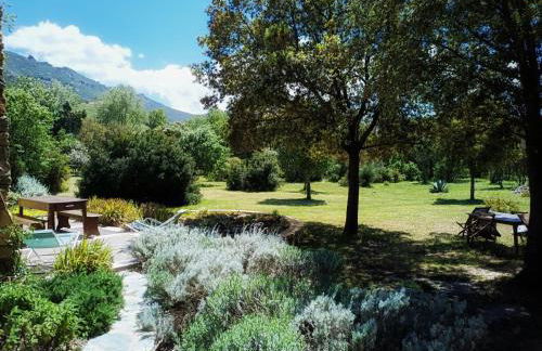 Les jardins de Foata - Foto 51