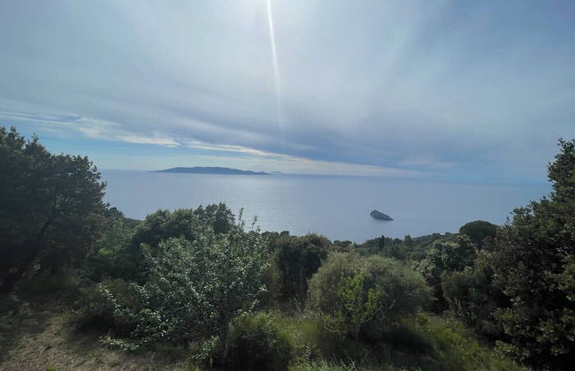 Wildsunset - Villa Cala Moresca - Photo 24