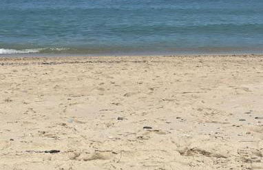 Amar a Costa - Foto 12