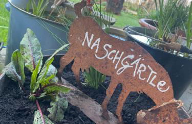 Glücksmomente - Photo 24