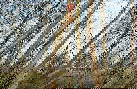 Holiday Home in Heeten Near Forest Trails - Foto 31