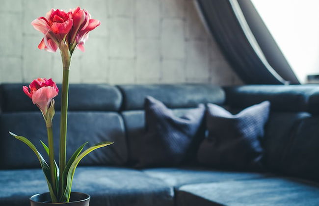 Aparthotel New Lux - Photo 76