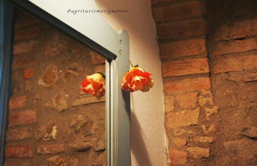 Agriturismo Signorini - Foto 38