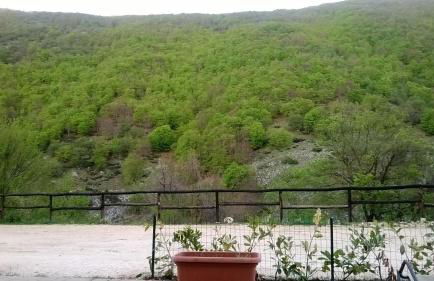 Al Peschio Pizzuto Agriturismo - Foto 29