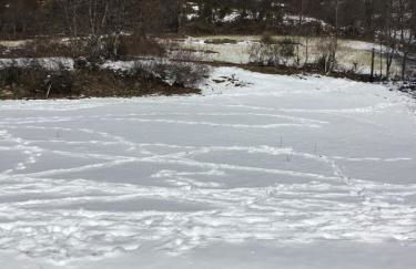 CAL RAMUNDAINA - Foto 22