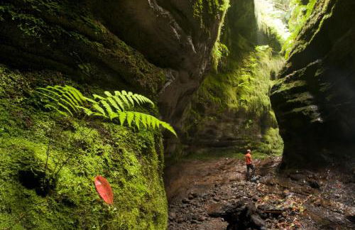 Casa Rural Los Estrello - Foto 36