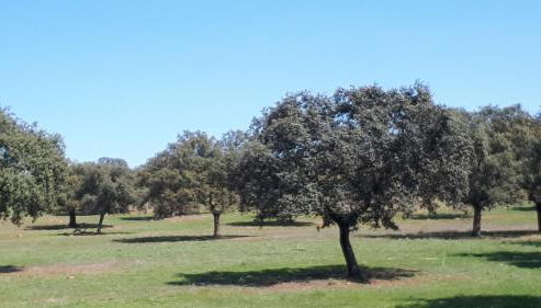 VILLA MARIA - Foto 5