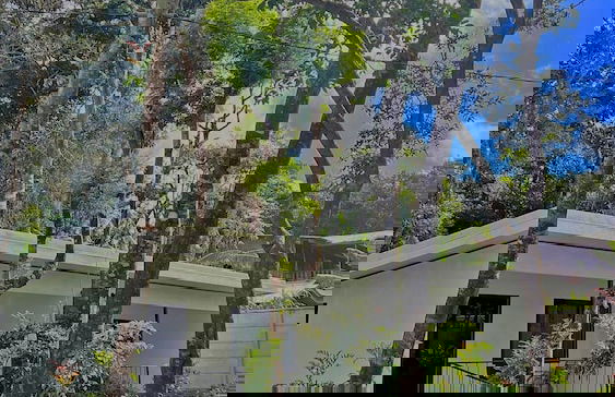 Monteverde Magic Mountain - Foto 45