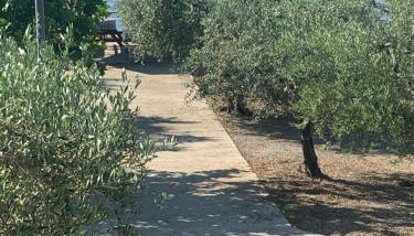 Seaside Folia Beach Kavala - Foto 3