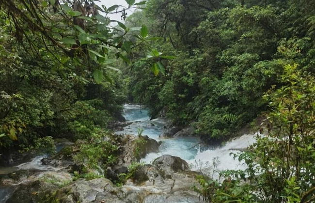 Selvática del Toro - Foto 42