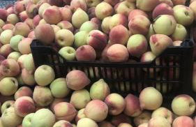 Casa na Praia Itanhaém - Foto 3