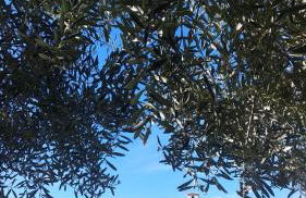 Apartamento El Carmen - Foto 11