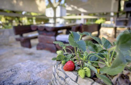 Holiday Home Giardino Marino - Foto 29