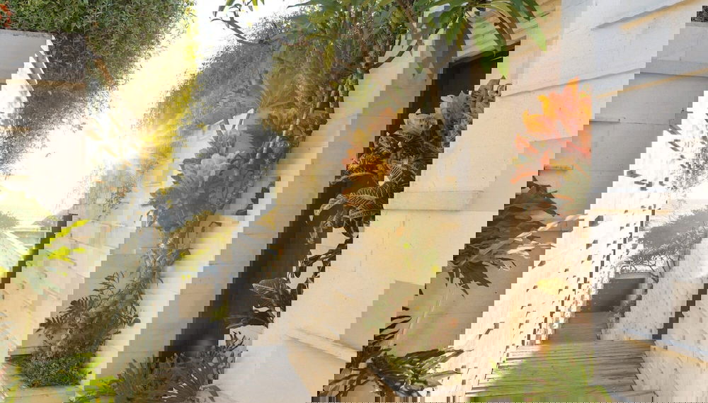 Chands Dua - Foto 1, Habitación