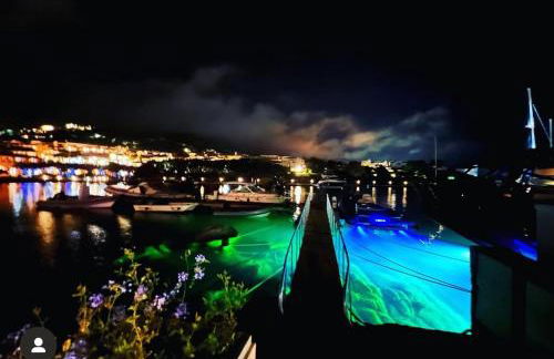 Steps from the Beach with views and big patio! - Photo 40