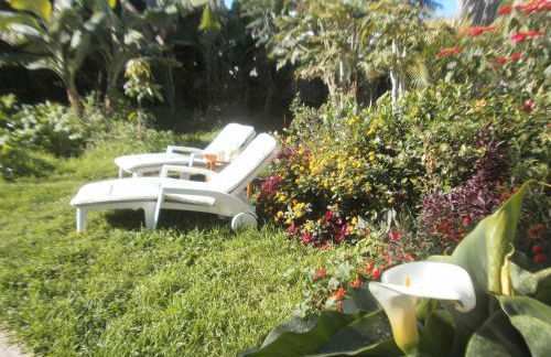 Finca las Palmeras - Foto 47