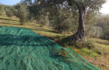 Il Filo di Arianna Cottage di Campagna - Photo 46