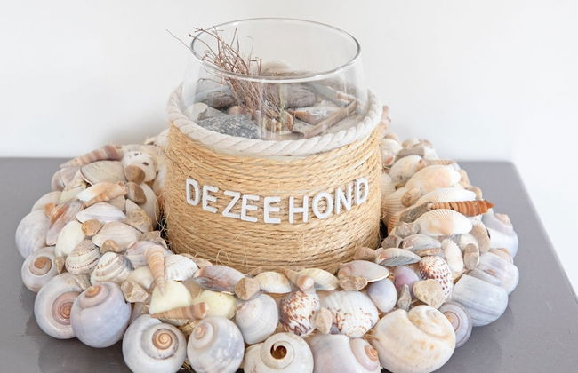 Cozy & Green Texel Escape for Two - Foto 26