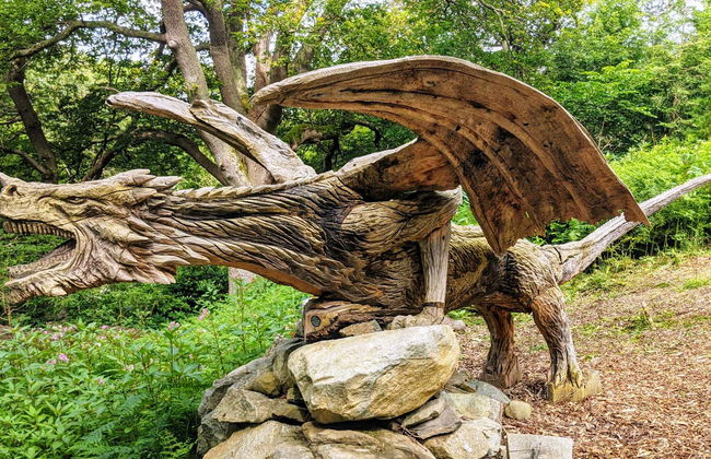 Tour dei castelli di Conwy, Dolbadarn e Caernarfon - Foto 17