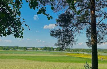 Ozierański Eden "Pod rzeźbami" - Photo 38