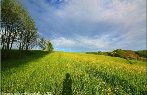 Ferienwohnung Mörlenbach - Foto 51