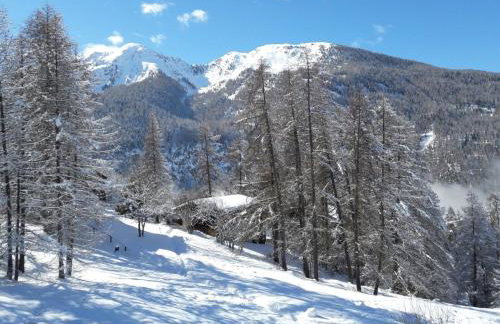 Chalet les arolles - Foto 46