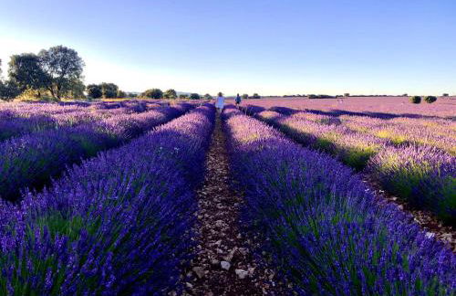 El Cuartel del Rio Dulce - Foto 25