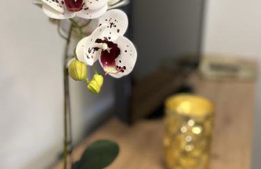 Domek pod lipami - Foto 8