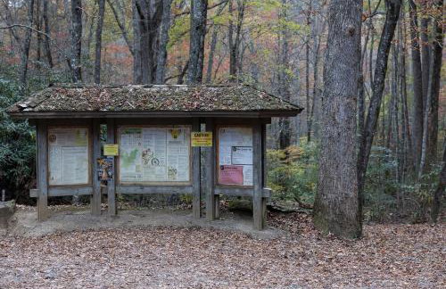 Creekside Guest House Mountains & Relax to the soothing sound of the creek - Foto 39