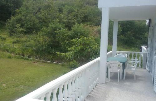 Apartman Put - Photo 15