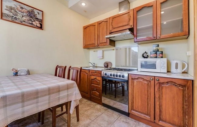 Ludwig Apartments Bolshaya Puskarskaya - Foto 9