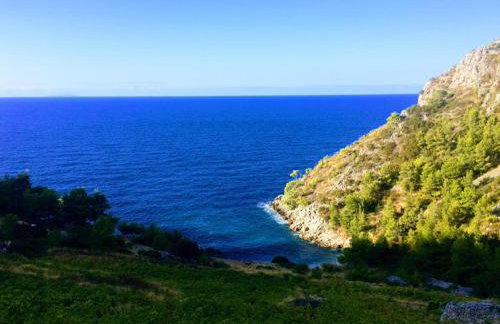 Apartmani Marija - Foto 23