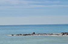 Apartment Nules - Foto 10