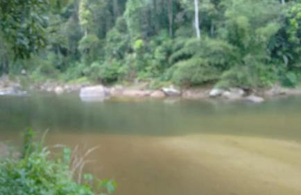 Recanto da natureza - Photo 9