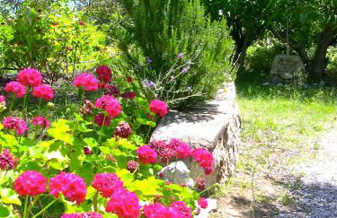 Kyra's Paradise - Foto 12