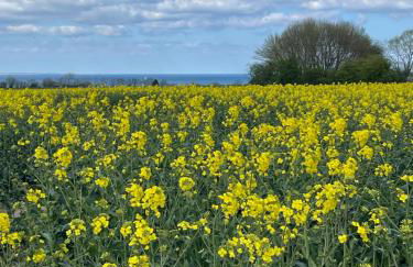 Designerhaus Meerblick - Foto 16