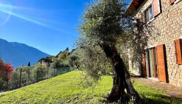 Casa L'Oliver - Foto 4, Garden, Garden view