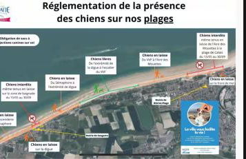 Les Amarres 6 pers Dunes et Mer Blériot plage - Foto 40