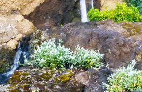 Boscoscuro - Foto 31