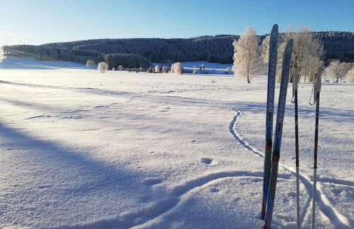 Ferienwohnung Steinberg - Foto 14