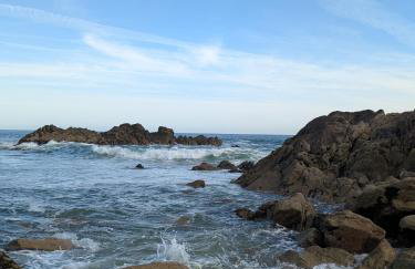 Studio l'Oasis - Piscine, plage de La Baule 10 min - Photo 36