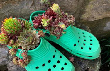 Kleines Glück - Foto 6