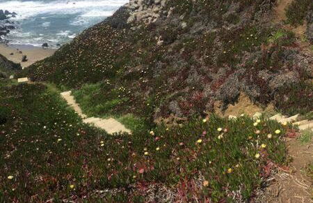 Kailua Bluffs Oceanfront - Foto 22