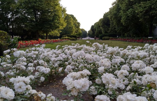 Holiday Apartment Central - Photo 25