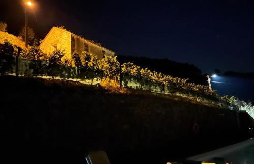 Casa da Oliveira - Photo 27