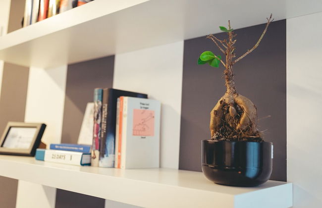 BR APARTMENTS - Photo 71