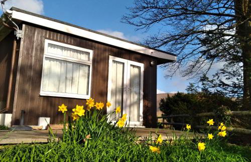 Sea Moss Cabin - Foto 58