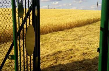 Dom Wakacyjny Quattro Niesulice - Foto 12