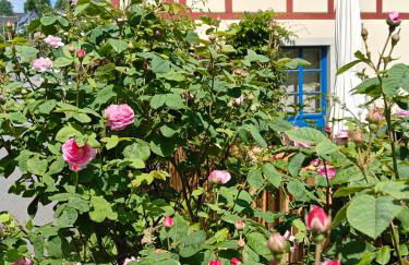 Urlaub im 200 Jahre alten Fachwerkhaus - Foto 12